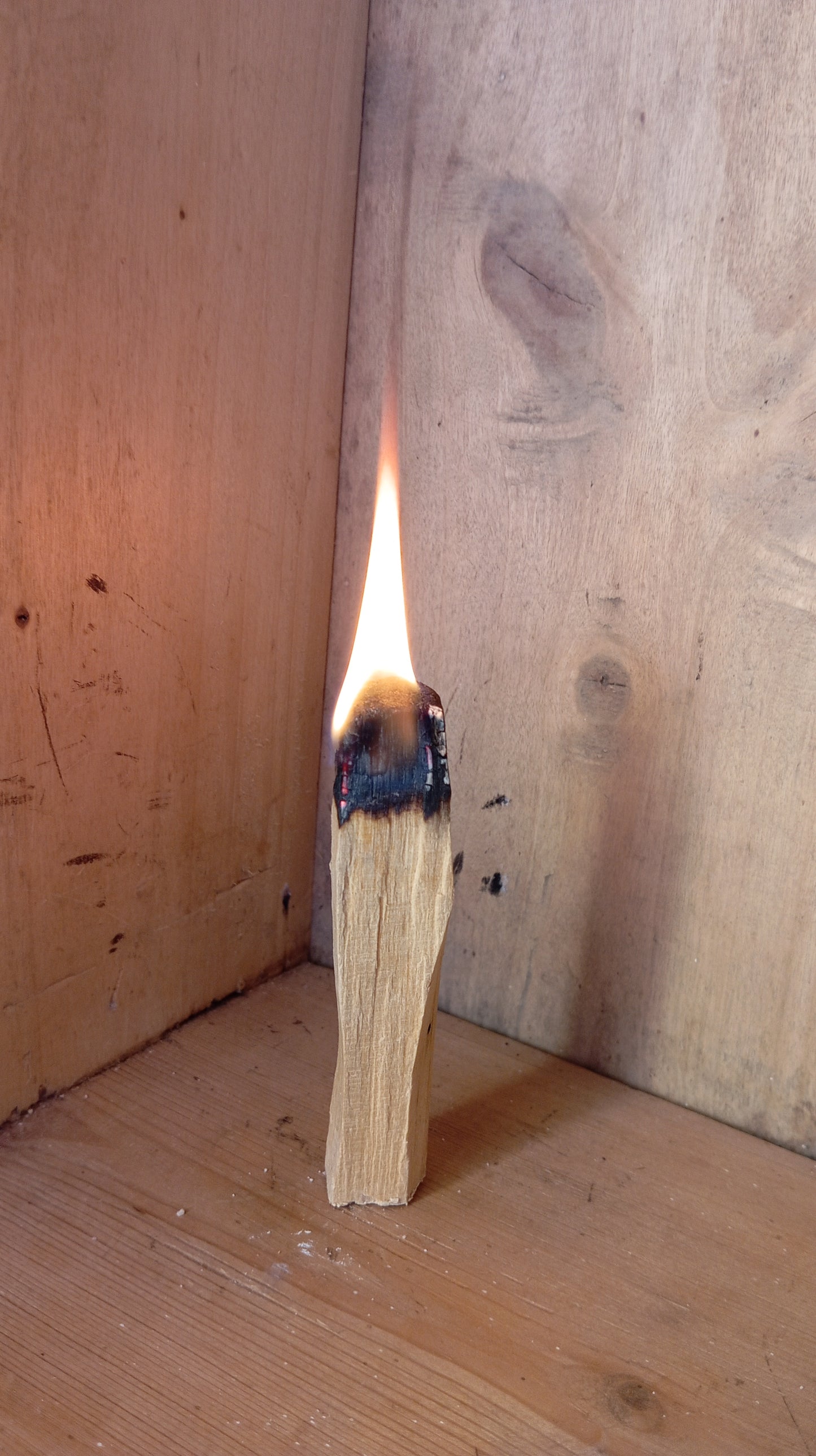 Palo Santo Premium 1kg