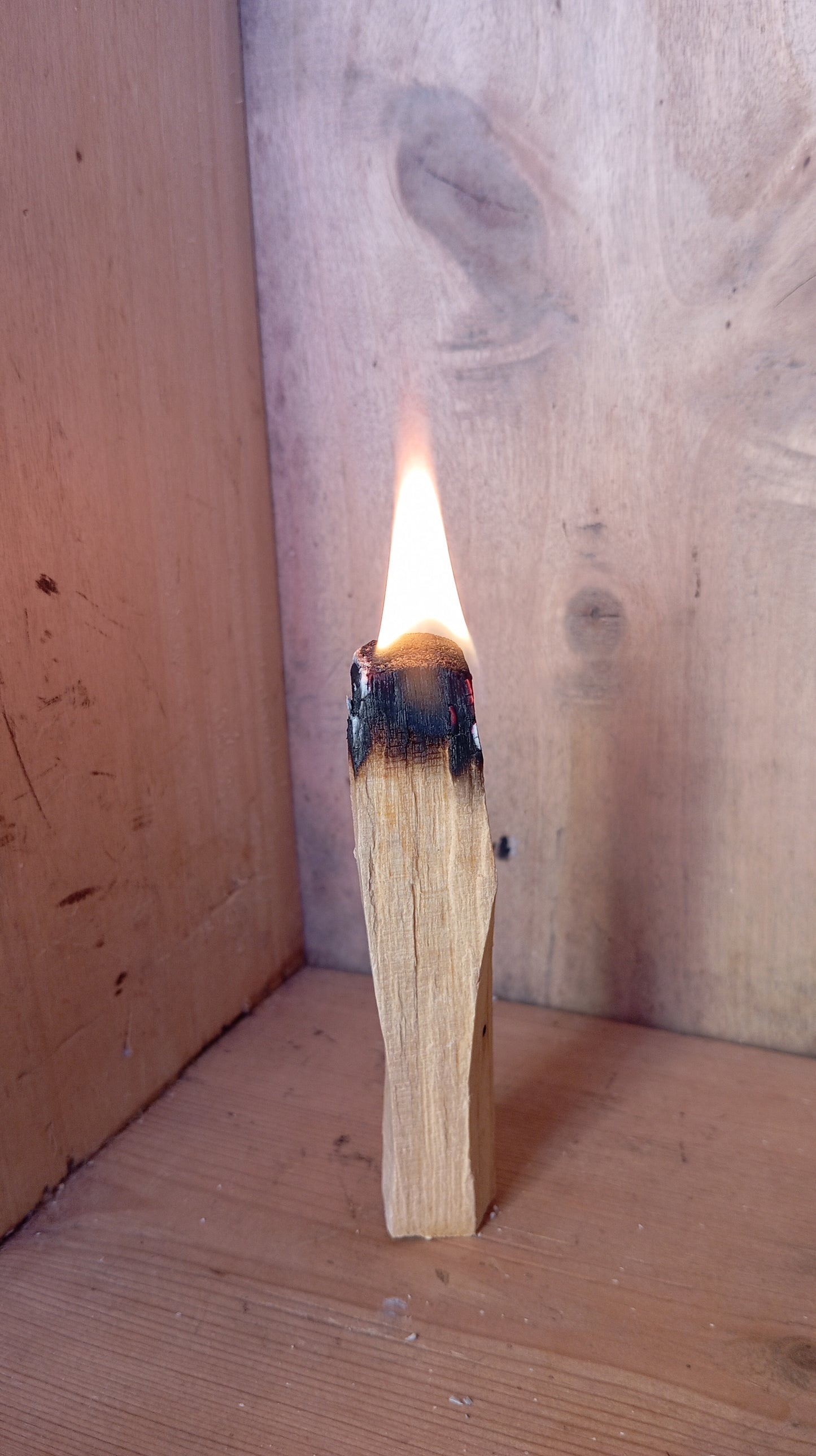 Incienso de Palo Santo - 500g